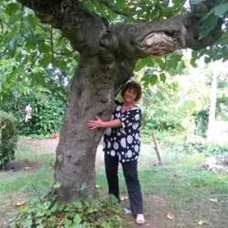 Lorella-L'AlberoDelleCase