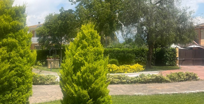 N3