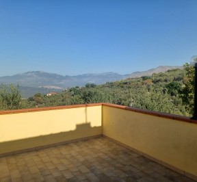 CASA INDIPENDENTE CON GRANDE ULIVETO PRODUTTIVO E MAGAZZINO - Sonnino