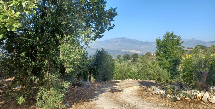 L3